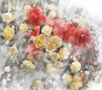 海棠花水彩数码画图片