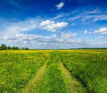 春夏背景乡村道路绿草田草甸风景与蓝天图片