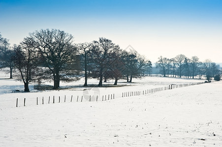 乡村景观跨越乡村背景,冬季雪地明亮的蓝天背景图片