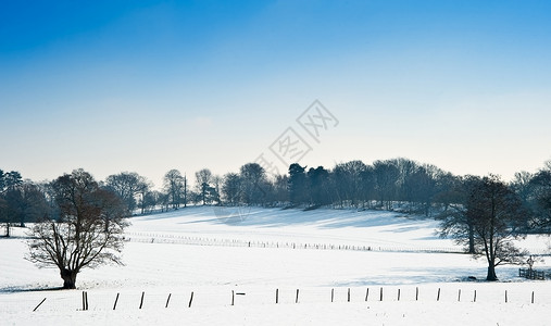 乡村景观跨越乡村背景,冬季雪地明亮的蓝天背景图片