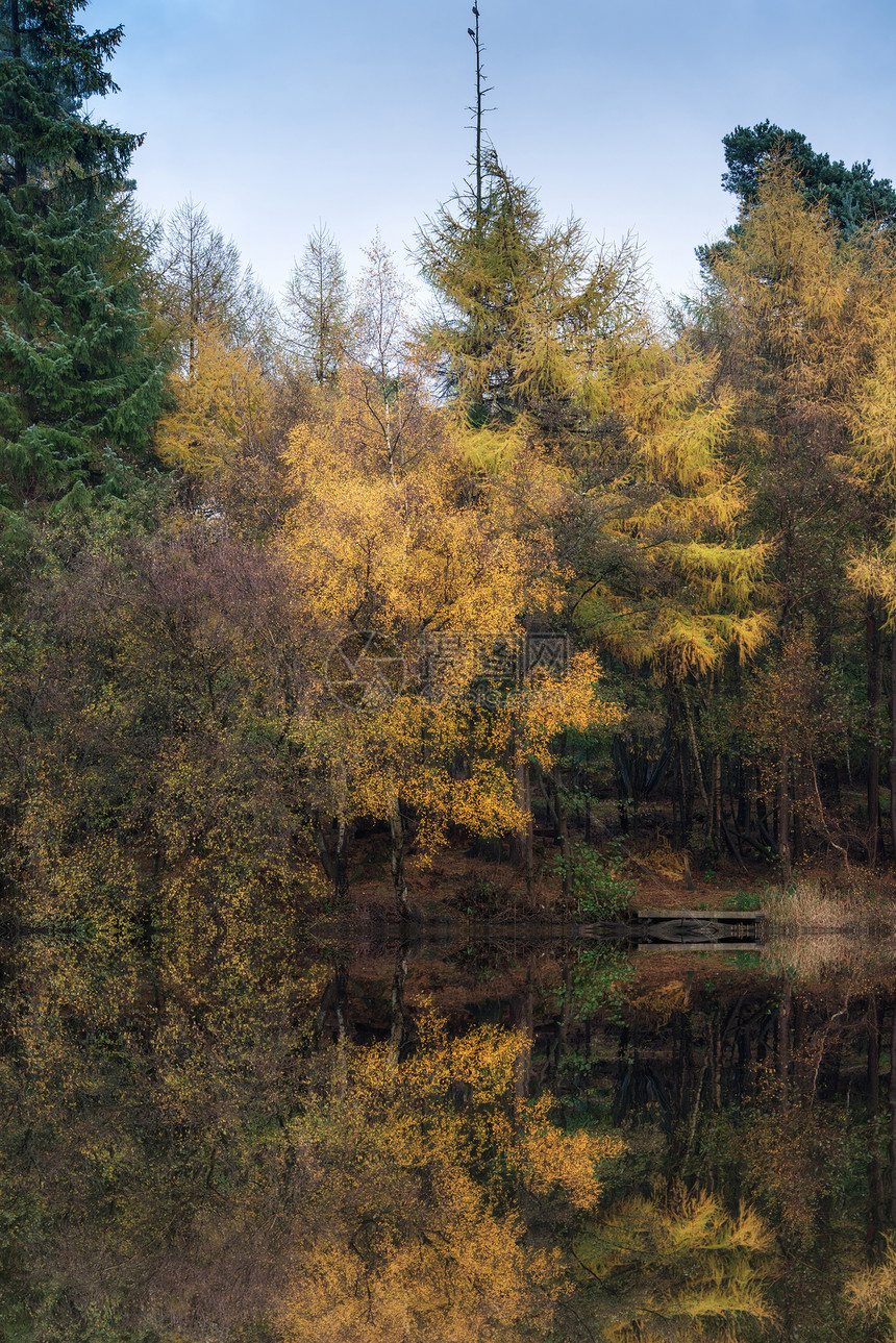 令人惊叹的充满活力的秋季林地反映静止的湖水景观中图片