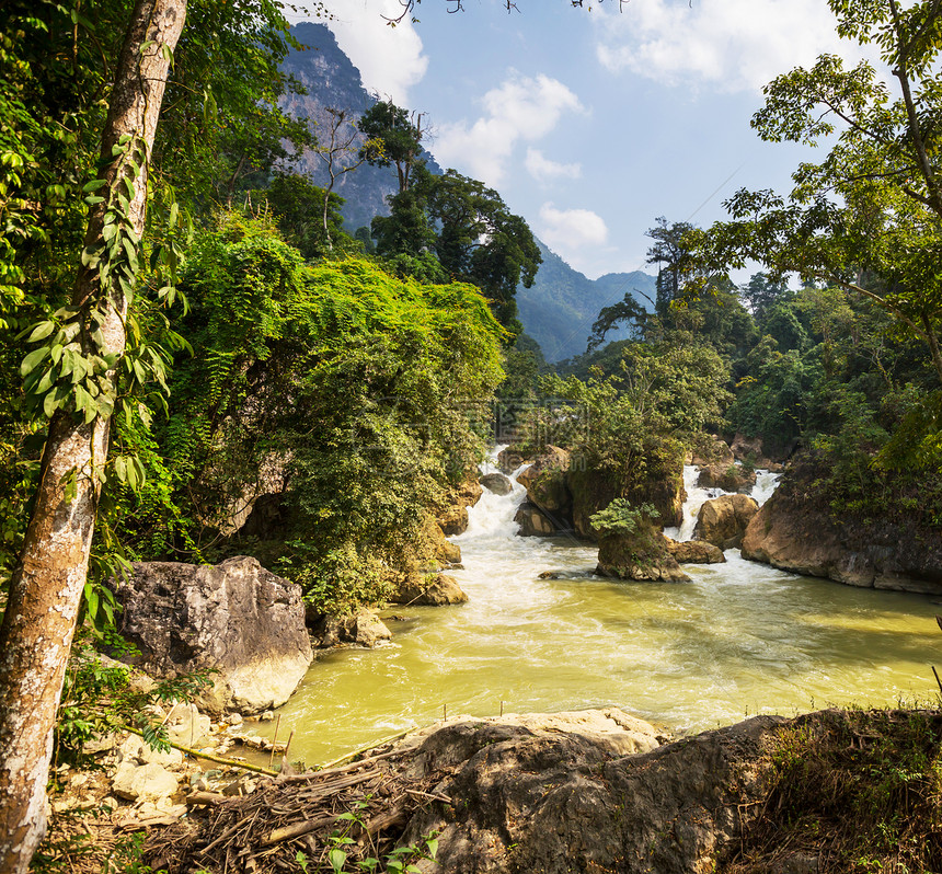 越南丛林中的宁静河图片