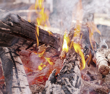 森林里的篝火发光高清图片素材