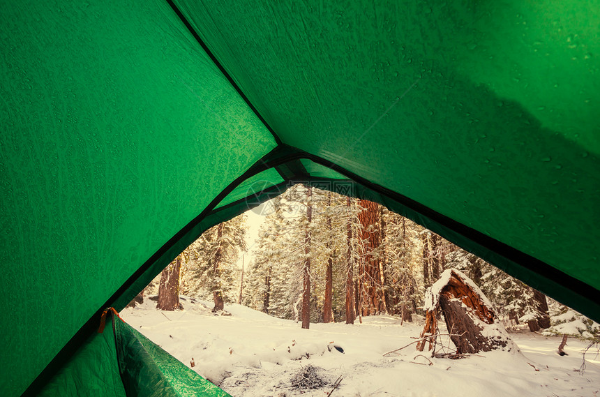 森林里的帐篷图片