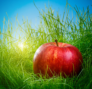 吃光的红苹果绿草地上的红苹果背景