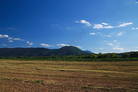 80岁大寿阳光明媚的天空背景