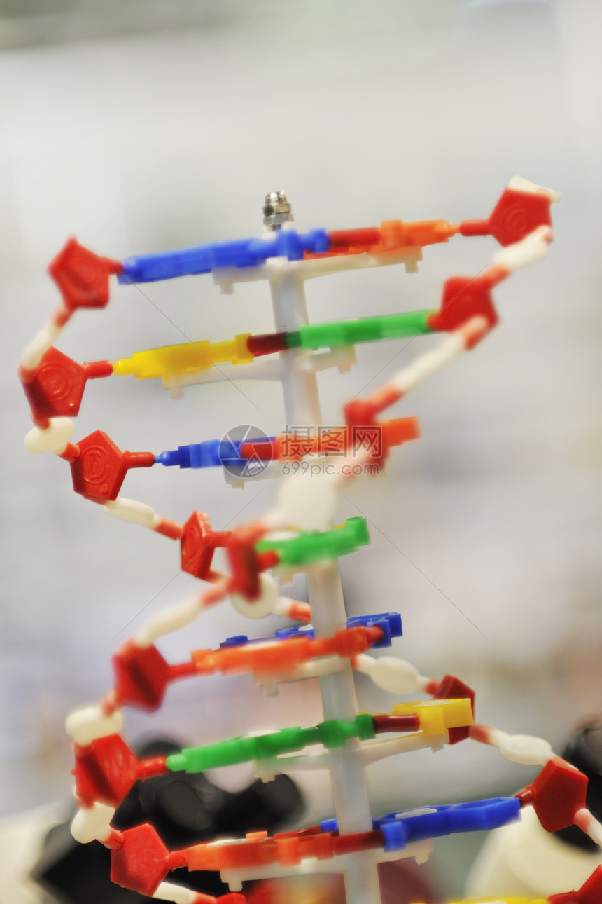 DNA下巴螺旋分子学校化学生物学工具图片