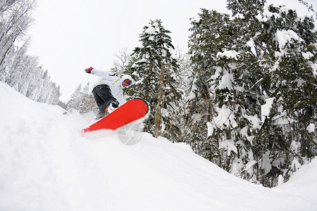 滑雪者冬季跳跳,自由骑粉状雪上背景图片