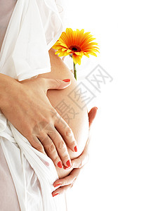孕妇抱着她的肚子黄花图片