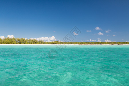 度假,旅行背景蓝海海洋,海滩森林图片