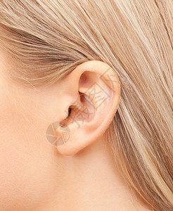 听觉,健康,美丽穿孔的女人的耳朵图片