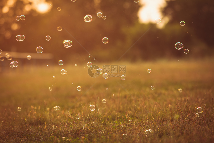 日落时公园室外的泡泡图片