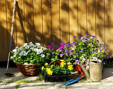 夏天的花花园工具图片