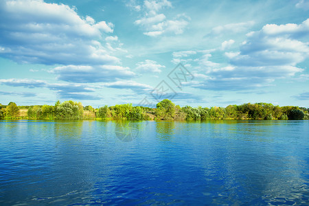 夏天绿树的河岸图片