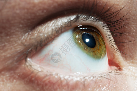 绿色的男人眼睛与红色的血管图片