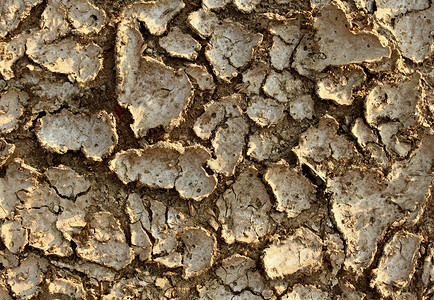 降水量干旱环境背景与干燥的地球破裂,因为缺水造成的极端热侵蚀,导致农业问题,如饥荒全球变暖,由于气候变化毁林背景