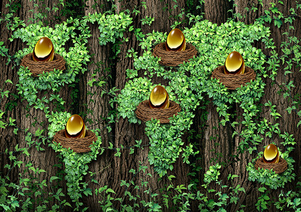 全球退休投资金融片古老的森林,生长着棵绿色的藤蔓,形状像张世界,群金蛋窝,全球多元化投资的隐喻背景图片