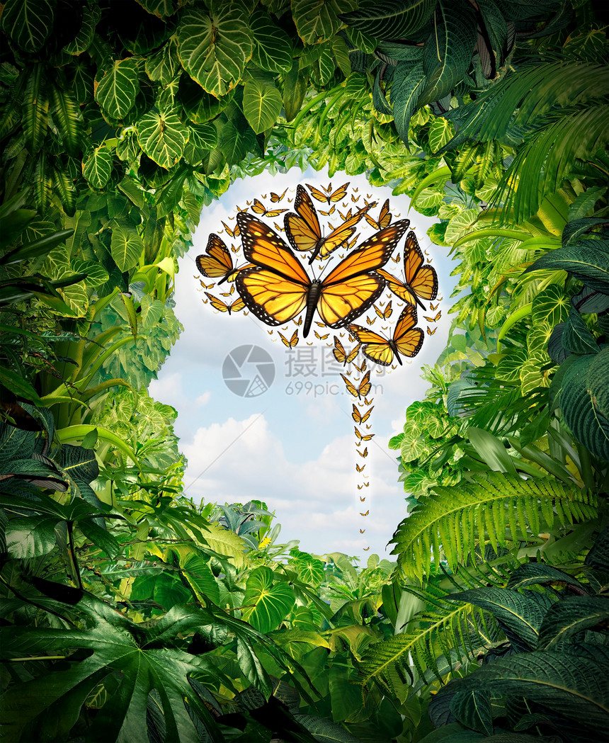 思想自由人类智力象征绿色丛林景观上,形状为头部,群飞翔的君主蝴蝶以大脑的形状心理健康教育的隐喻,象征着心灵的潜力图片