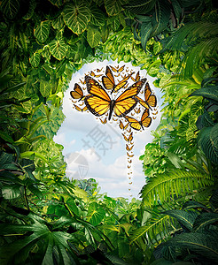 思想自由人类智力象征绿色丛林景观上,形状为头部,群飞翔的君主蝴蝶以大脑的形状心理健康教育的隐喻,象征着心灵的潜力神经元高清图片素材