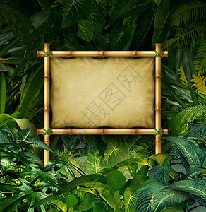 丛林标志空白广告牌的竹旗热带植物森林充满绿色植被象征自然沟通环境广告图片