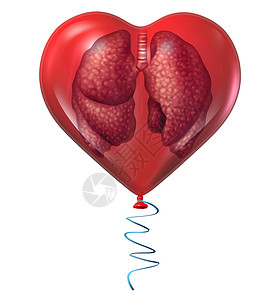 肺健康医学符号与个人体解剖器官个红色气球个图标呼吸心血管风险心脏护理隔离白色背景背景图片