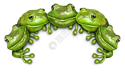 青蛙小标志个快乐趣的绿色两栖动物小,坐白色空白卡背景的顶部,代表野生动物推广的广告背景图片