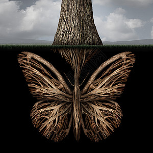 创造根棵树,根形为蝴蝶,个强大的环境隐喻象征,为内心的思想强大的创造力基础图片