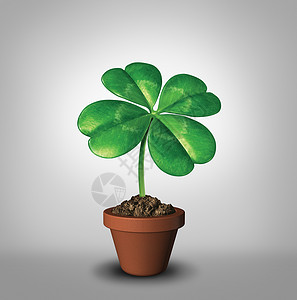 把你的运气四叶三叶植物花盆里生长,成功繁荣的象征,好运好运的绿色幸运符,象征机遇健康的成长背景图片