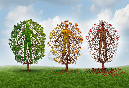 人类衰老的健康的恶化由于疾病身体中的棵健康的绿色树,它被塑造成个人改变叶子的颜色,失叶子种保健医学隐背景