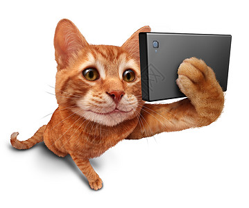 自拍猫白色背景个可爱的橙色塔比猫猫与个微笑的强制透视拍摄张自拍肖像图片与智能手机数码相机趣幽默的社交网络符背景图片