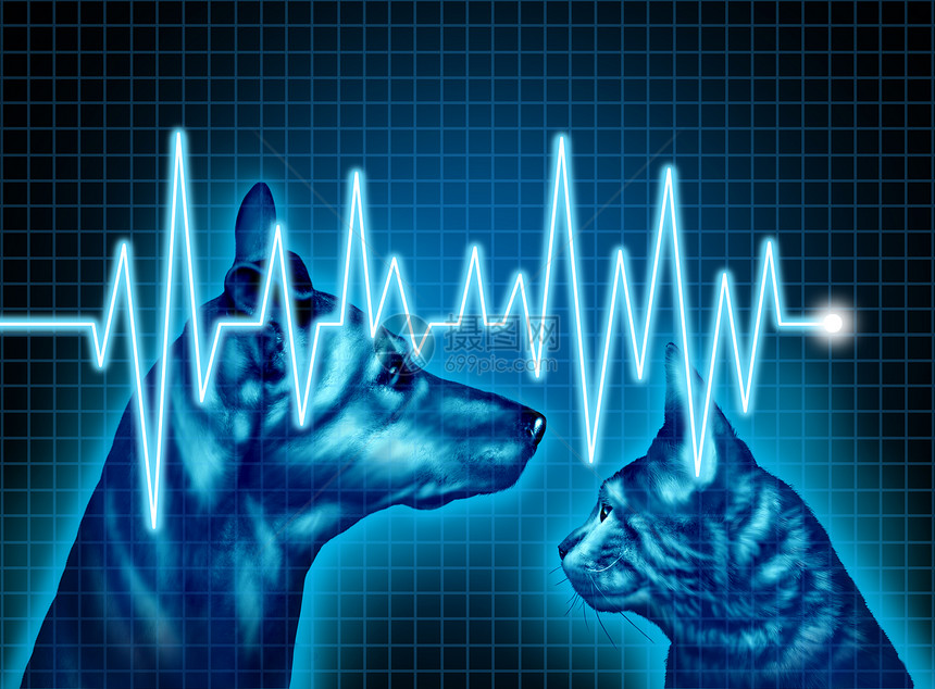 宠物保健宠物医疗保险的,个例子,狗猫与心电图EKG监测生命线兽医符号兽医医生服务图片