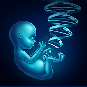 胎儿DNA医学指孕妇体内的个人类未出生的婴儿,其双螺旋链形状为脐带,医学产前基因治疗克隆符号三维插图背景图片