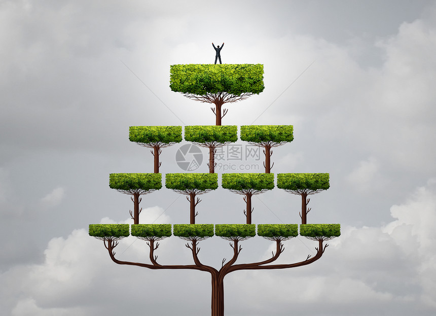 商业成功攀升个商人上升顶部个佩龙金字塔树结构的顶峰,个财务隐喻,以达职业目标的三维插图风格图片