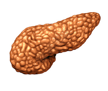 胰腺人体器官个胰腺消化腺体部分,内分泌系统的医学符号,白色背景上分离,三维插图背景图片