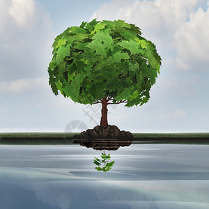 商业收缩的经济衰退的象征,棵成熟的树,棵小树苗的种反映,并以3D插图元素降级贬值的隐喻背景图片