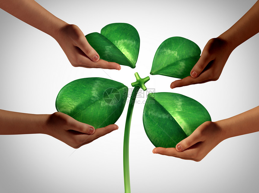 共同创造财富多样的手,着四个分离的绿色花瓣的幸运三叶草连接个中心茎,帕特里克假日社交聚会商业合作符号与3图片