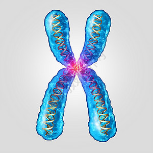 染色体遗传DNA种微观分子,双螺旋基因结构,微生物学医学符号,用于遗传进化突变,三维插图背景图片