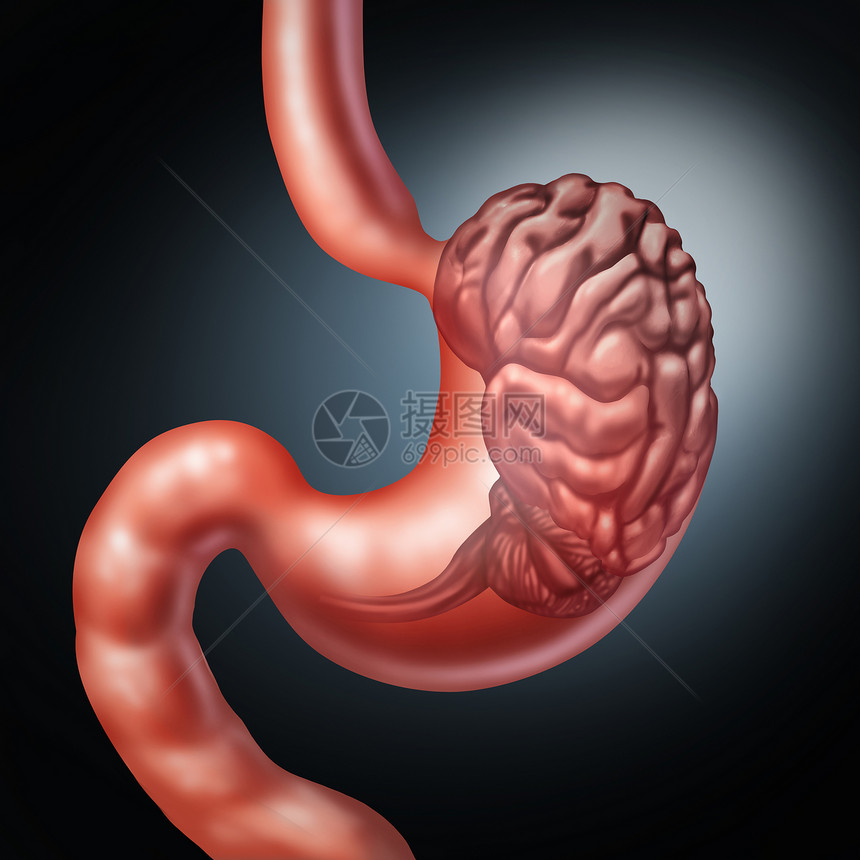 胃脑肠道神经系统象征肠道感觉,人类消化思考器官,胃肠功能消化紊乱食物渴望的图标与三维插图元素图片