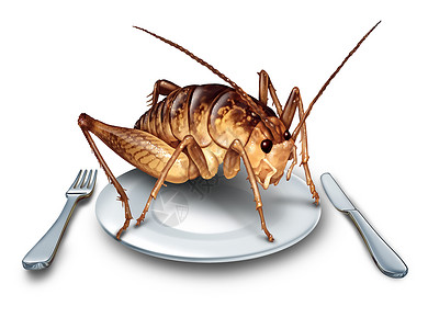 吃虫子吃昆虫异国美食替代高蛋白营养食品板球昆虫个盘子与刀叉子个符号的昆虫与三维插图元素背景图片