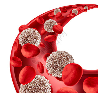 白细胞循环人体动脉中流过红细胞,人体免疫系统抵御感染的微生物学符号,3D插图,保护身体免受传染病的侵袭背景图片