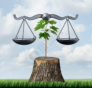 环境法自然资源法律行动种正义尺度,由棵砍树上的树苗支持,生境生态的保护,插图元素背景图片