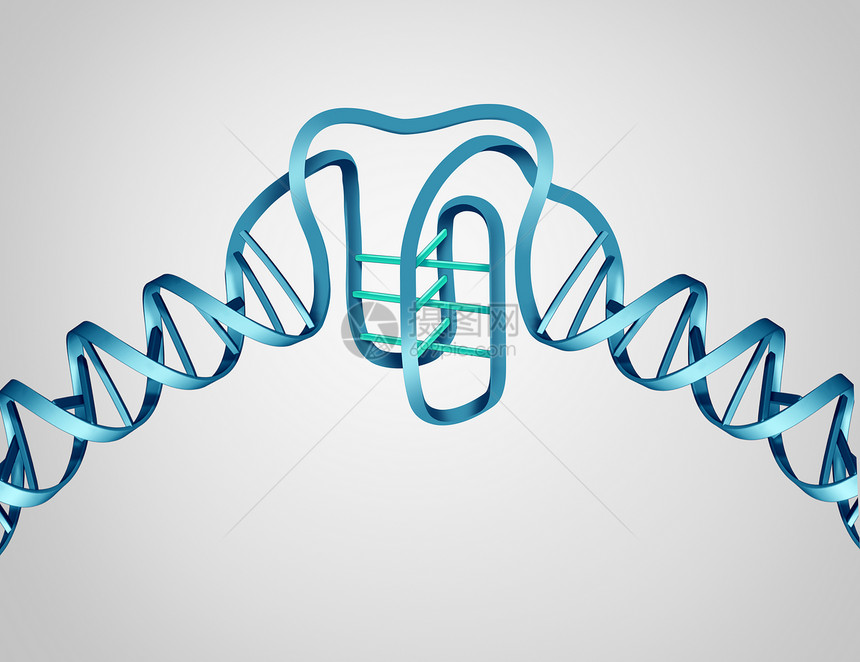 把新的DNA发现种科学生物学的,个分子结构个3D插图的基序DNA图片