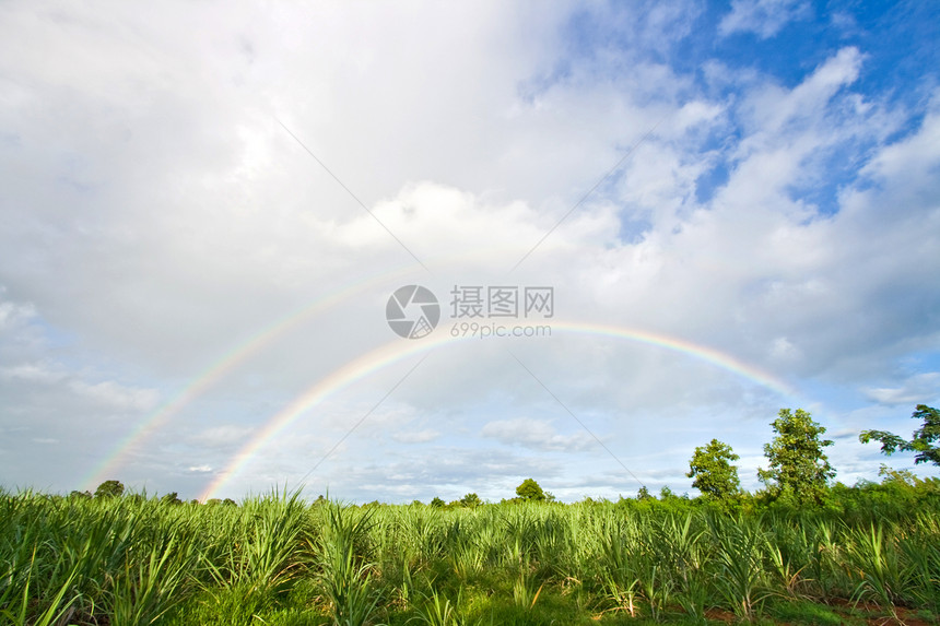 夏季日光景观与草地,白云天空双虹图片