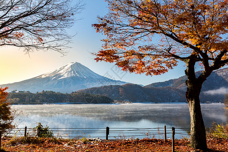 日出山富士秋季KawaguchikoKawaguchi湖日本富士山图片