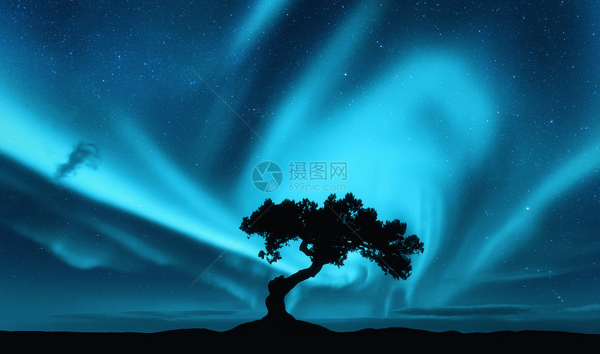 北极光山上棵树的轮廓极光北极光天空星星北极光夜间景观明亮的极光,树木,蓝天自然背景图片