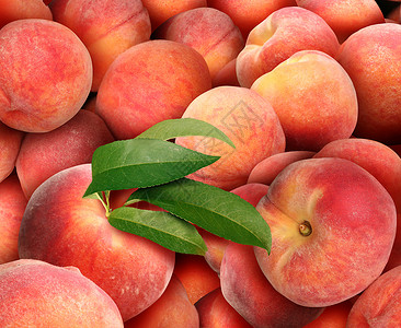 桃子的背景堆新鲜多汁的成熟桃子夏天的水果收获图片