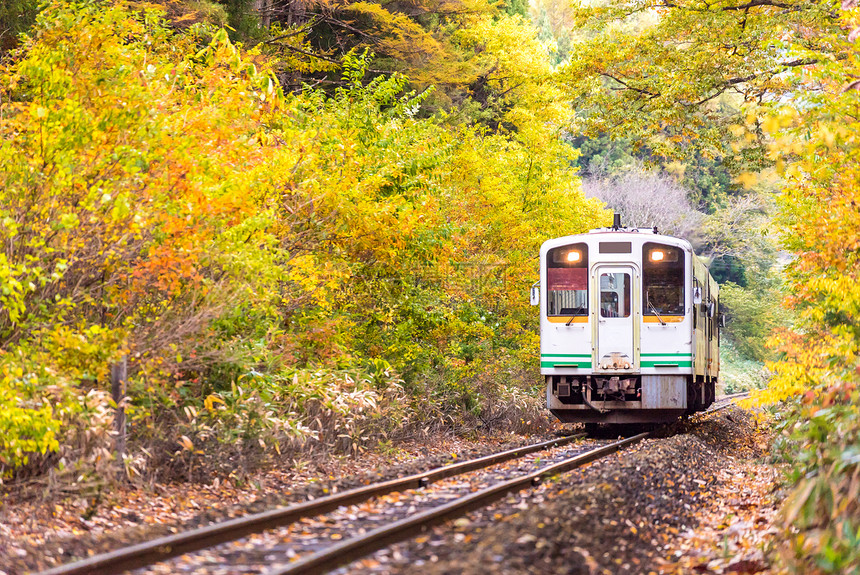秋叶与白色火车通勤福岛日本图片