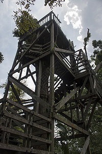 丛林中的护林员木桩前哨塔图片
