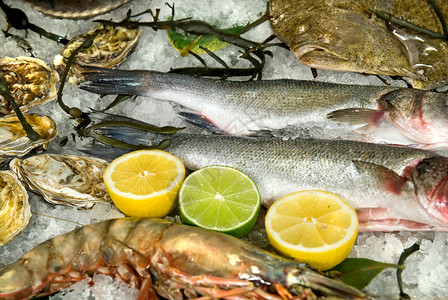 新鲜冷冻鱼与牡蛎,龙虾柠檬冰超市高清图片素材