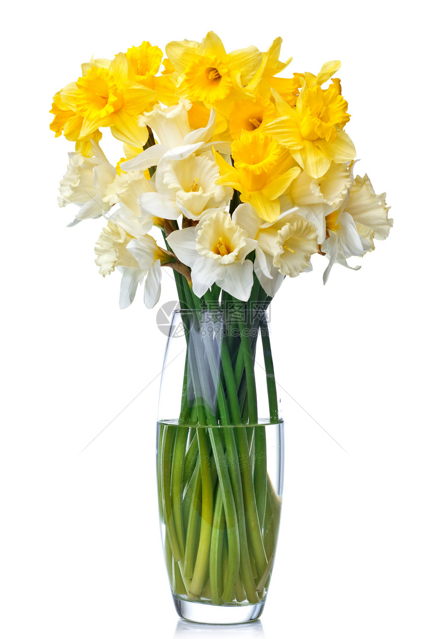 花来自花瓶中的白色黄色水仙图片